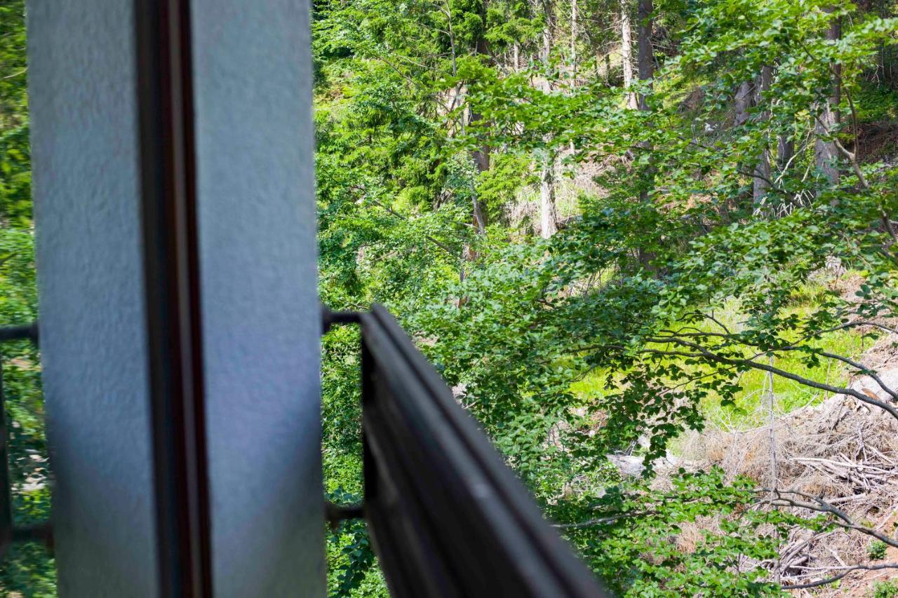 Forest Dream Apartment - Elit Pamporovo Eksteriør bilde