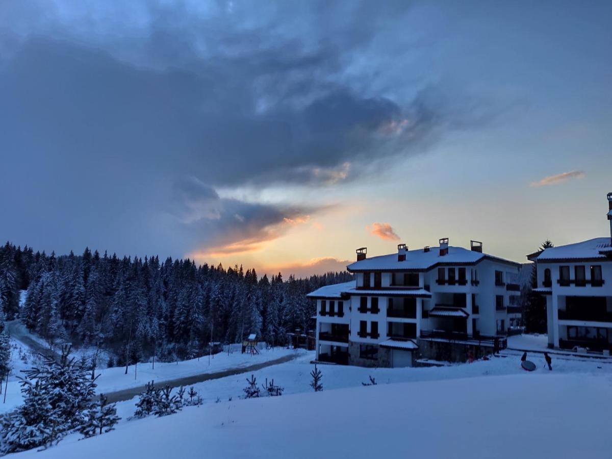 Forest Dream Apartment - Elit Pamporovo Eksteriør bilde