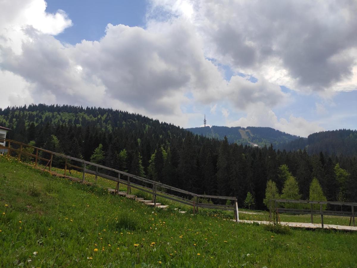 Forest Dream Apartment - Elit Pamporovo Eksteriør bilde