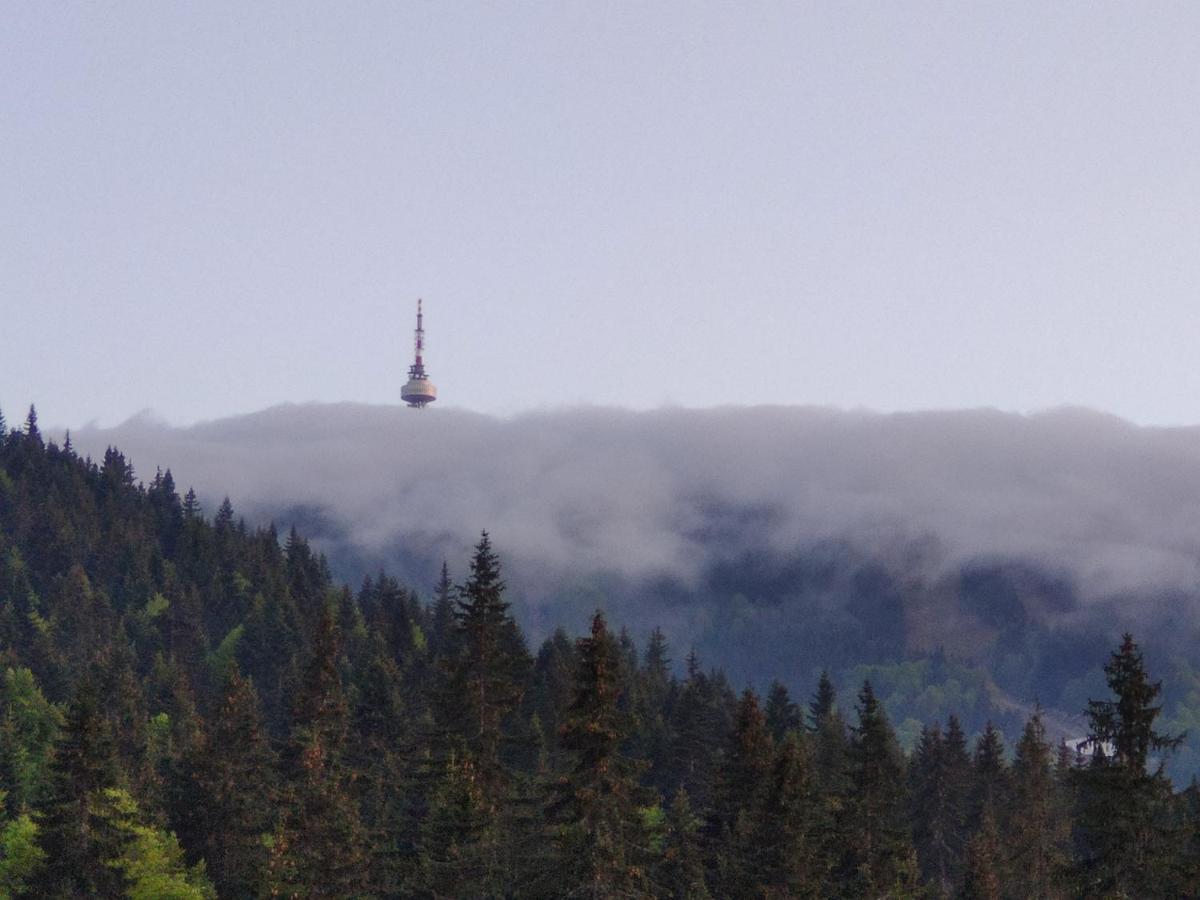 Forest Dream Apartment - Elit Pamporovo Eksteriør bilde