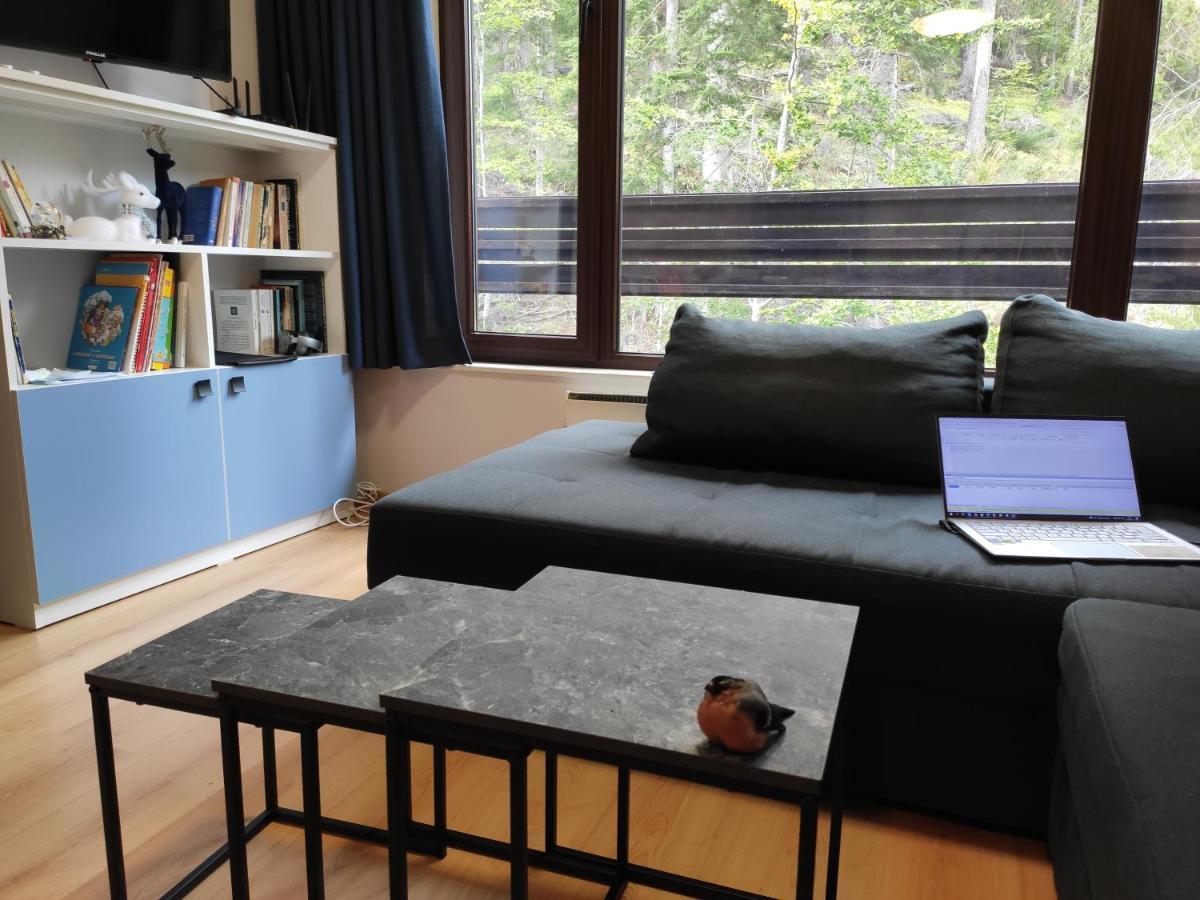 Forest Dream Apartment - Elit Pamporovo Eksteriør bilde