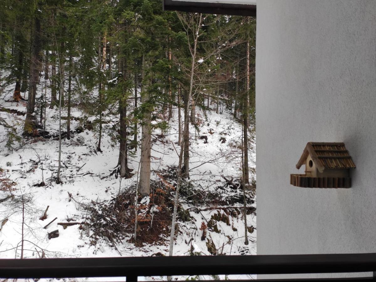 Forest Dream Apartment - Elit Pamporovo Eksteriør bilde
