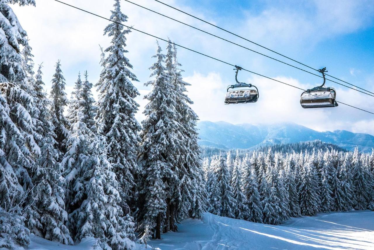 Forest Dream Apartment - Elit Pamporovo Eksteriør bilde