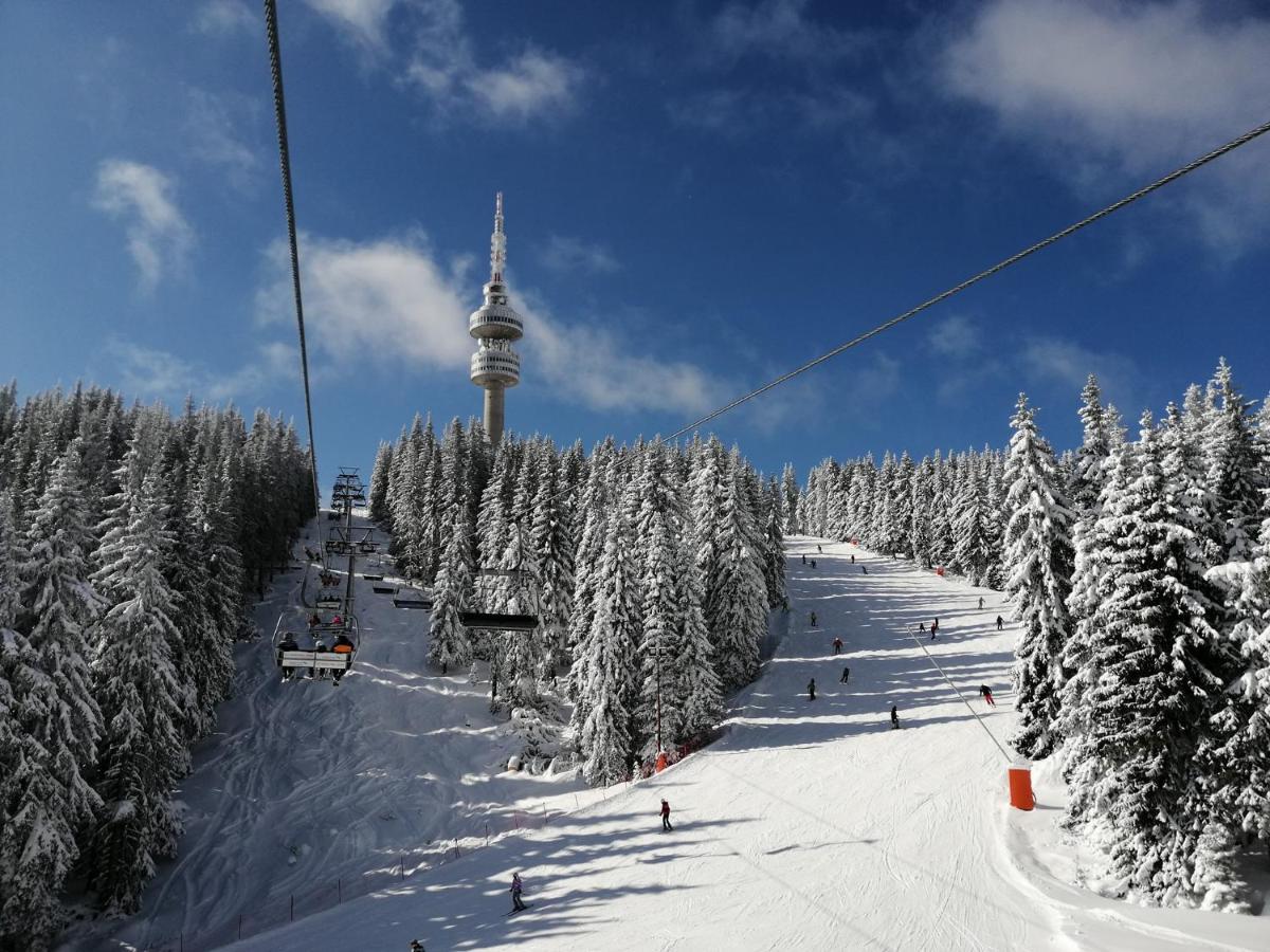 Forest Dream Apartment - Elit Pamporovo Eksteriør bilde
